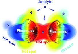 Graphical abstract: Prospects for plasmonic hot spots in single molecule SERS towards the chemical imaging of live cells