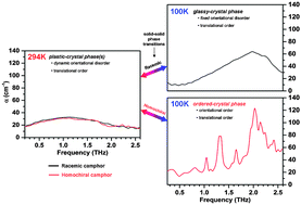 Graphical abstract: Terahertz disorder-localized rotational modes and lattice vibrational modes in the orientationally-disordered and ordered phases of camphor