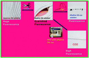 Graphical abstract: Intriguing cysteine induced improvement of the emissive property of carbon dots with sensing applications