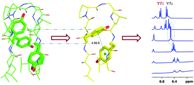 Graphical abstract: Nature of aryl–tyrosine interactions contribute to β-hairpin scaffold stability: NMR evidence for alternate ring geometry