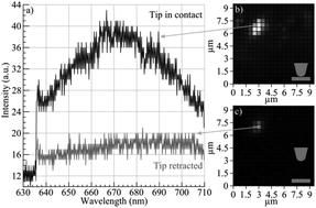 Graphical abstract: A near field optical image of a gold surface: a luminescence study