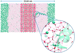 Graphical abstract: Why ice-binding type I antifreeze protein acts as a gas hydrate crystal inhibitor