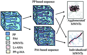 Graphical abstract: Influence of non-covalent modification of multiwalled carbon nanotubes on the crystallization behaviour of binary blends of polypropylene and polyamide 6