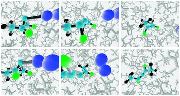 Graphical abstract: Prediction of enhanced solvent-induced enantioselectivity for a ring opening with a bifurcating reaction path