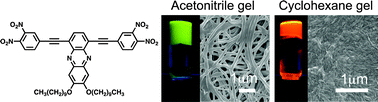 Graphical abstract: Unusual solvent-dependent photophysical and self-assembly properties of NO2 substituted T-shaped phenazines