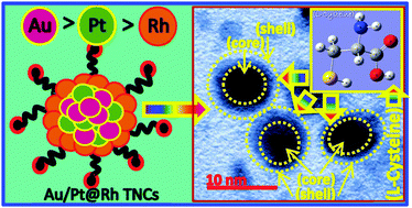 Graphical abstract: Surface enhanced vibrational spectroscopy and first-principles study of l-cysteine adsorption on noble trimetallic Au/Pt@Rh clusters