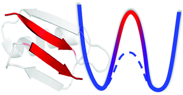 Graphical abstract: How determinant is N-terminal to C-terminal coupling for protein folding?