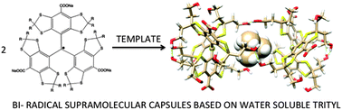 Graphical abstract: Self-assembled trityl radical capsules – implications for dynamic nuclear polarization