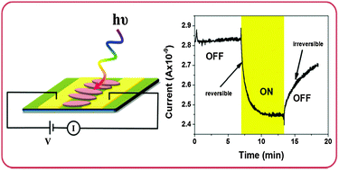 Graphical abstract: Light induced modulation of charge transport phenomena across the bistability region in [Fe(Htrz)2(trz)](BF4) spin crossover micro-rods