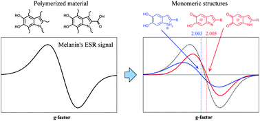 Graphical abstract: Electronic structure calculations of ESR parameters of melanin units