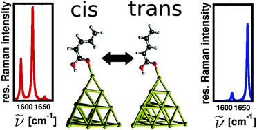 Graphical abstract: A spectroscopic study of the cis/trans-isomers of penta-2,4-dienoic acid attached to gold nanoclusters