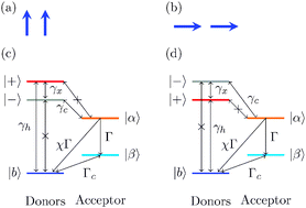 Graphical abstract: Delocalized quantum states enhance photocell efficiency