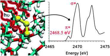 Graphical abstract: X-ray spectroscopy as a probe for lithium polysulfide radicals