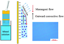Graphical abstract: Fabrication of highly oriented large-scale TIPS pentacene crystals and transistors by the Marangoni effect-controlled growth method
