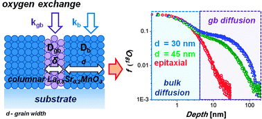 Graphical abstract: Fast oxygen exchange and diffusion kinetics of grain boundaries in Sr-doped LaMnO3 thin films