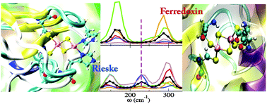 Graphical abstract: Magnetostructural dynamics of Rieske versus ferredoxin iron–sulfur cofactors
