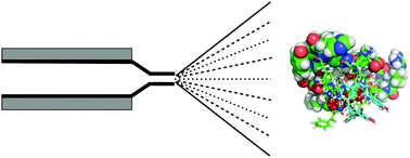 Graphical abstract: A study of procyanidin binding to Histatin 5 using Electrospray Ionization Tandem Mass Spectrometry (ESI-MS/MS) and molecular simulations