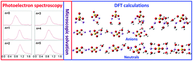 Graphical abstract: On the dissolution of lithium sulfate in water: anion photoelectron spectroscopy and density functional theory calculations