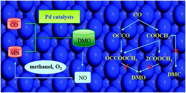 Graphical abstract: Insights into the reaction mechanism of CO oxidative coupling to dimethyl oxalate over palladium: a combined DFT and IR study