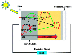 Graphical abstract: A detailed study on the working mechanism of a heteropoly acid modified TiO2 photoanode for efficient dye-sensitized solar cells