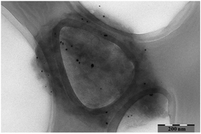 Graphical abstract: Electro-catalytic oxidation of hemicelluloses at the Au electrode