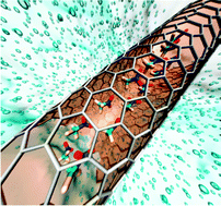 Graphical abstract: Interactions of carbon nanotubes with the nitromethane–water mixture governing selective adsorption of energetic molecules from aqueous solution