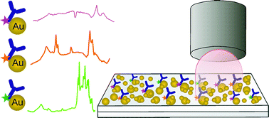 Graphical abstract: Qualifying label components for effective biosensing using advanced high-throughput SEIRA methodology