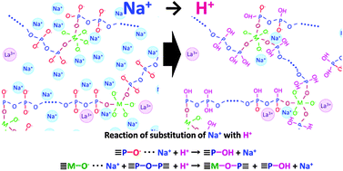 Graphical abstract: Structural change of NaO1/2–WO3–NbO5/2–LaO3/2–PO5/2 glass induced by electrochemical substitution of sodium ions with protons