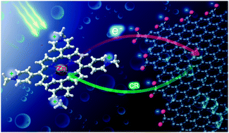 Graphical abstract: Real-time observation of ultrafast electron injection at graphene–Zn porphyrin interfaces