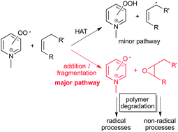 Graphical abstract: The role of peroxyl radicals in polyester degradation – a mass spectrometric product and kinetic study using the distonic radical ion approach