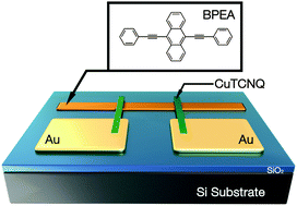 Graphical abstract: Single-displacement controlled spontaneous electrolysis towards CuTCNQ microribbon electrodes in organic single-crystal transistors