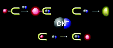 Graphical abstract: Recent progress in the development of fluorometric and colorimetric chemosensors for detection of cyanide ions