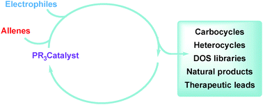 Graphical abstract: Phosphine catalysis of allenes with electrophiles