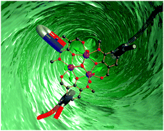 Graphical abstract: Single-molecule toroics in Ising-type lanthanide molecular clusters