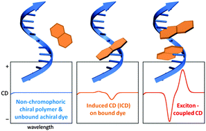 Graphical abstract: Application of electronic circular dichroism in the study of supramolecular systems