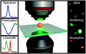 Graphical abstract: Optical characterization of single plasmonic nanoparticles