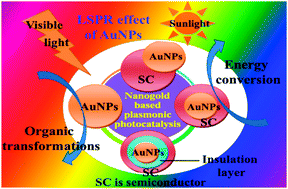 Graphical abstract: Nanogold plasmonic photocatalysis for organic synthesis and clean energy conversion