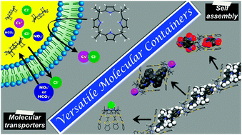 Graphical abstract: Calix[4]pyrroles: versatile molecular containers with ion transport, recognition, and molecular switching functions