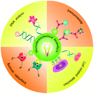 Graphical abstract: Photoelectrochemical bioanalysis: the state of the art