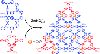 Graphical abstract: From 1 → 3 dendritic designs to fractal supramacromolecular constructs: understanding the pathway to the Sierpiński gasket