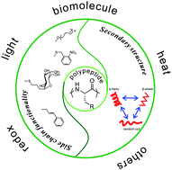 Graphical abstract: Biodegradable stimuli-responsive polypeptide materials prepared by ring opening polymerization