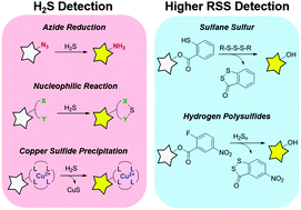 Graphical abstract: Chemical probes for molecular imaging and detection of hydrogen sulfide and reactive sulfur species in biological systems