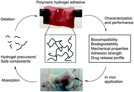 Graphical abstract: The chemistry and engineering of polymeric hydrogel adhesives for wound closure: a tutorial