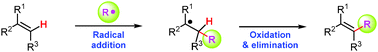 Graphical abstract: Olefinic C–H functionalization through radical alkenylation