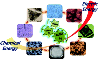 Graphical abstract: Noble metal alloy complex nanostructures: controllable synthesis and their electrochemical property