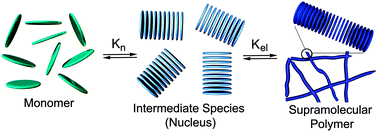 Graphical abstract: Strategies to create hierarchical self-assembled structures via cooperative non-covalent interactions