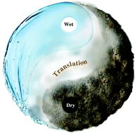 Graphical abstract: A dynamic surface enhanced Raman spectroscopy method for ultra-sensitive detection: from the wet state to the dry state