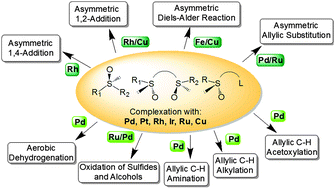 Graphical abstract: The emergence of sulfoxides as efficient ligands in transition metal catalysis