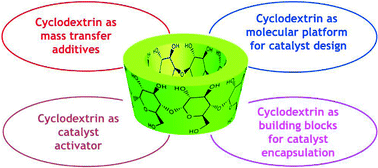 Graphical abstract: Recent breakthroughs in aqueous cyclodextrin-assisted supramolecular catalysis