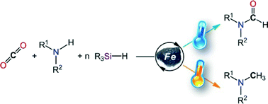 Graphical abstract: Iron-catalyzed hydrosilylation of CO2: CO2 conversion to formamides and methylamines